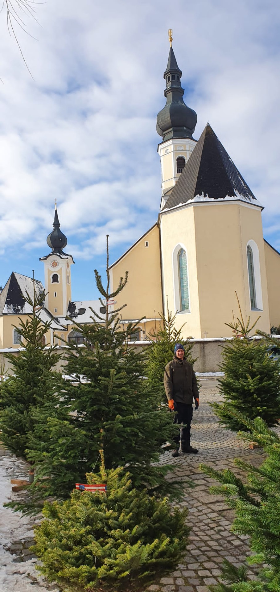 Christbaumverkauf in Berndorf neben der Kirche