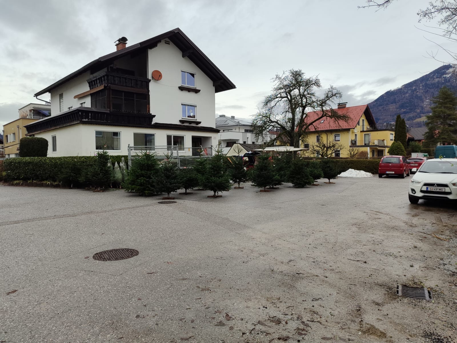 Christbaumverkauf in Salzburg - Membergerstraße