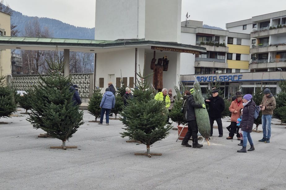 Christbaumverkauf in Salzburg - Kirche Herrnau